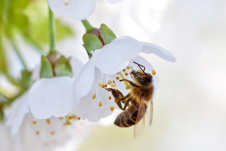 Våre miljøsertifiseringer
